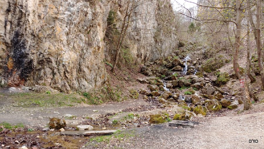 רומניה פסח 2019